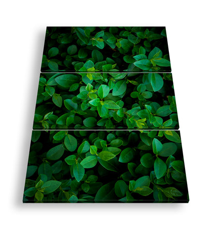 Hauptbild Farbig 3 Teilig