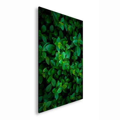 Hauptbild Farbig Standart