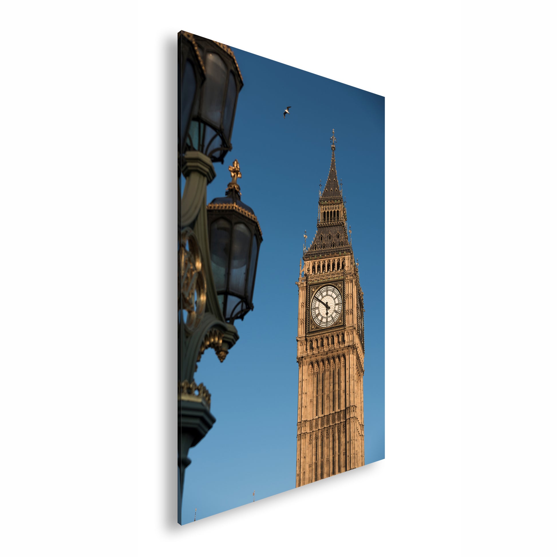 Hauptbild Farbig Standart