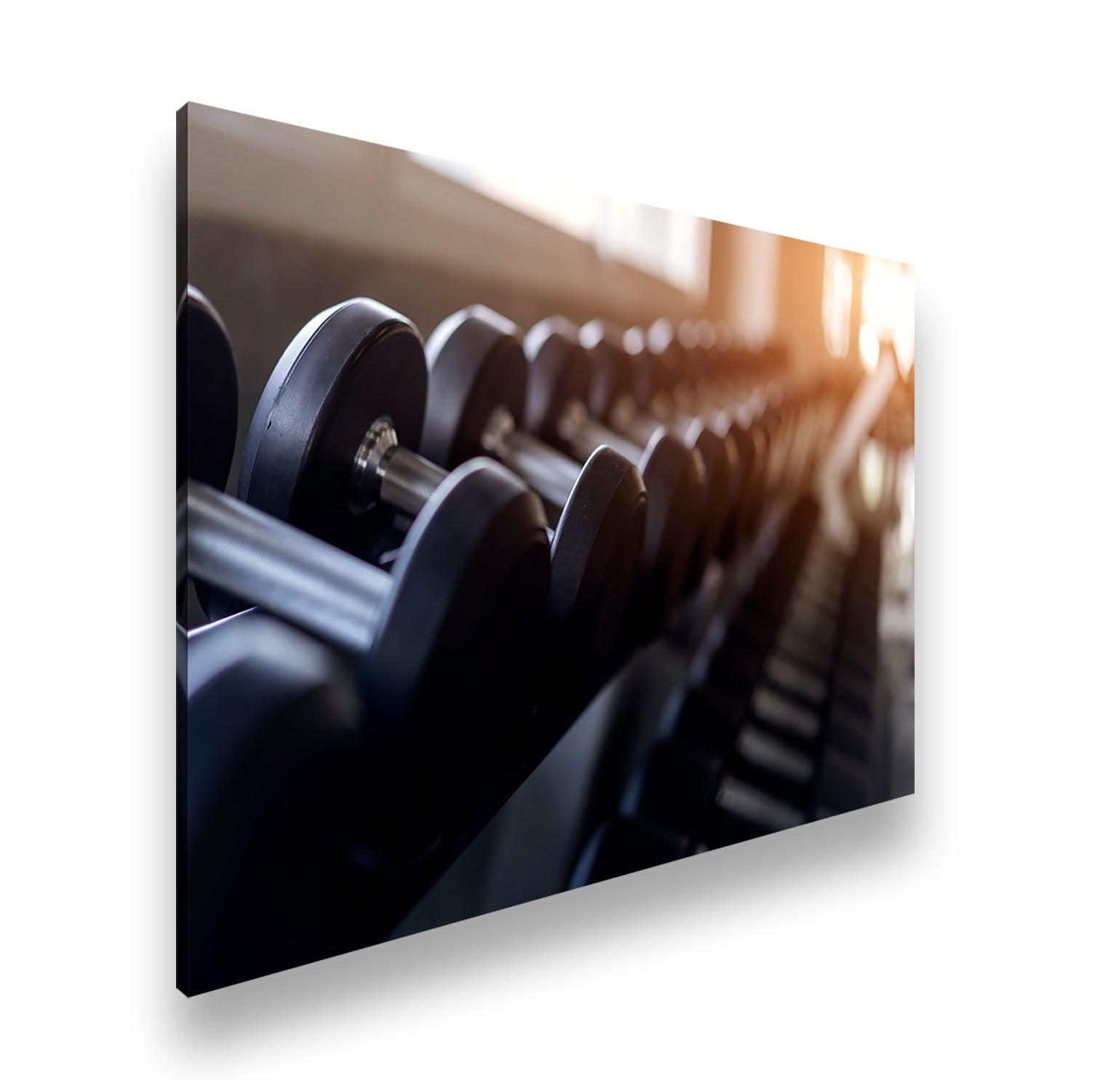 Hauptbild Farbig Standart