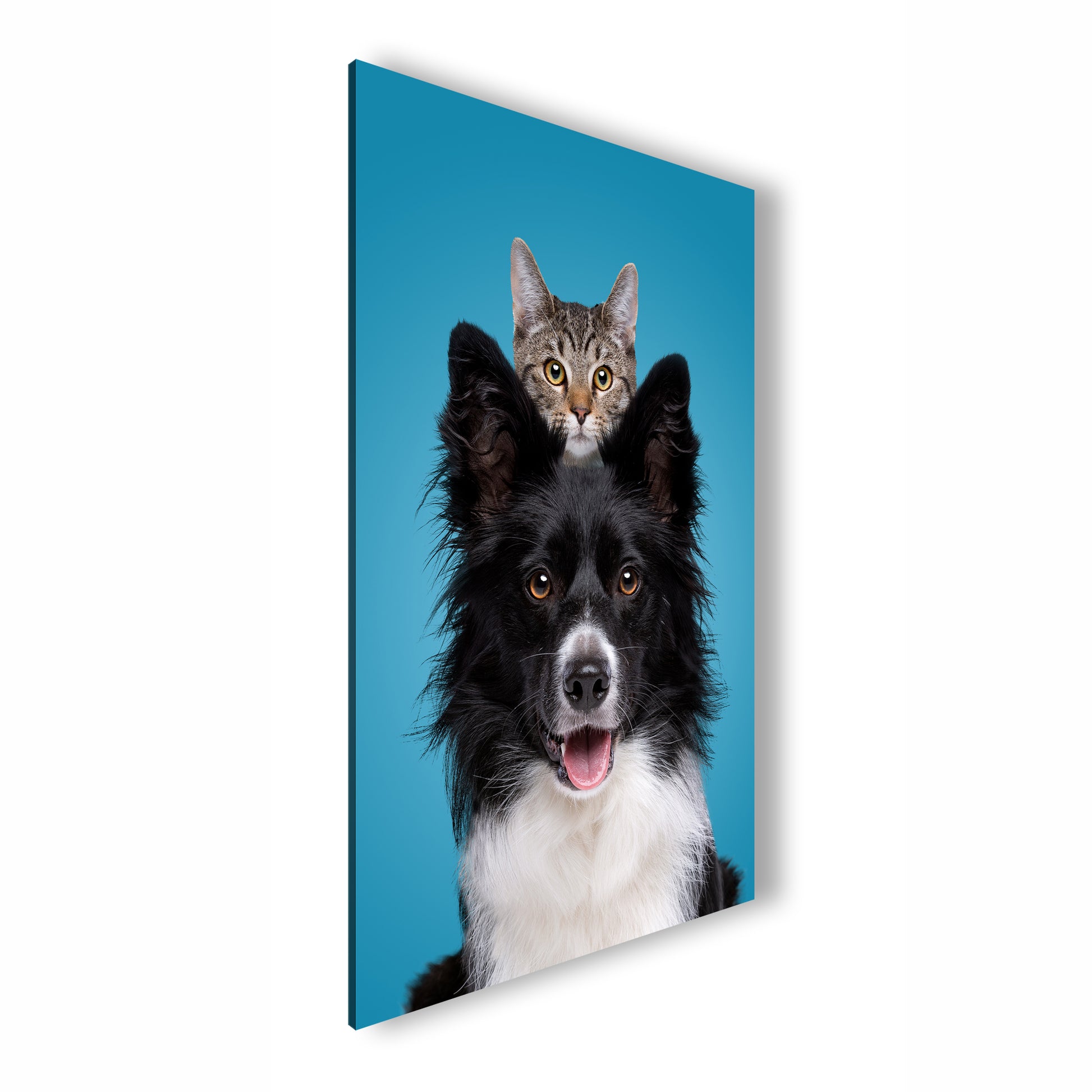 Hauptbild Farbig Standart