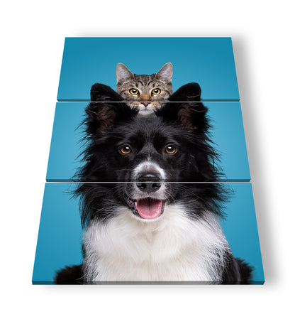 Hauptbild Farbig 3 Teilig