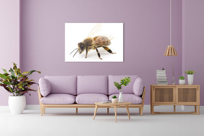 Vorschaubild Wohnzimmerbild 2