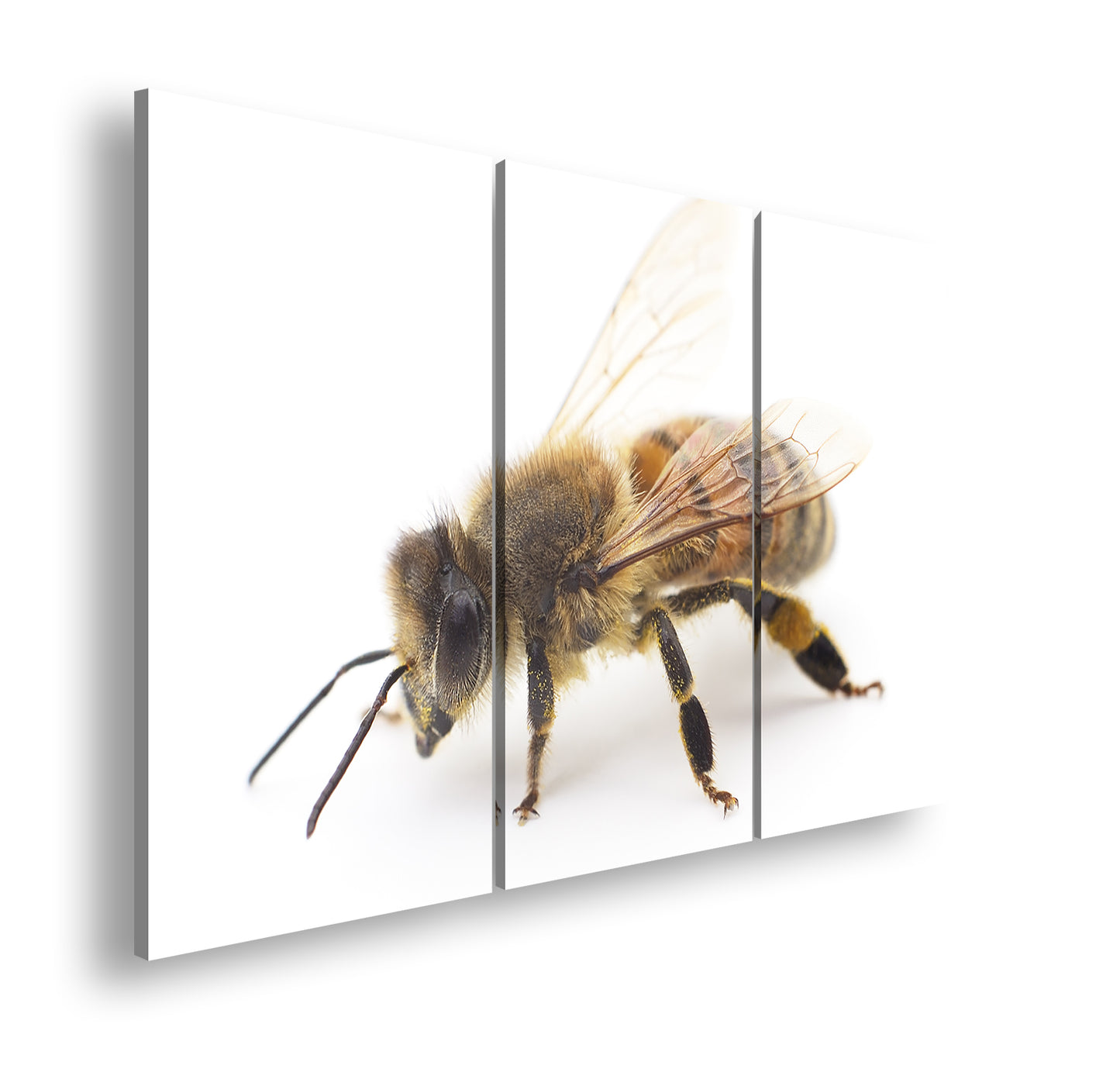 Hauptbild Farbig 3 Teilig