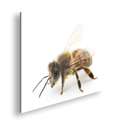 Hauptbild Farbig Standart