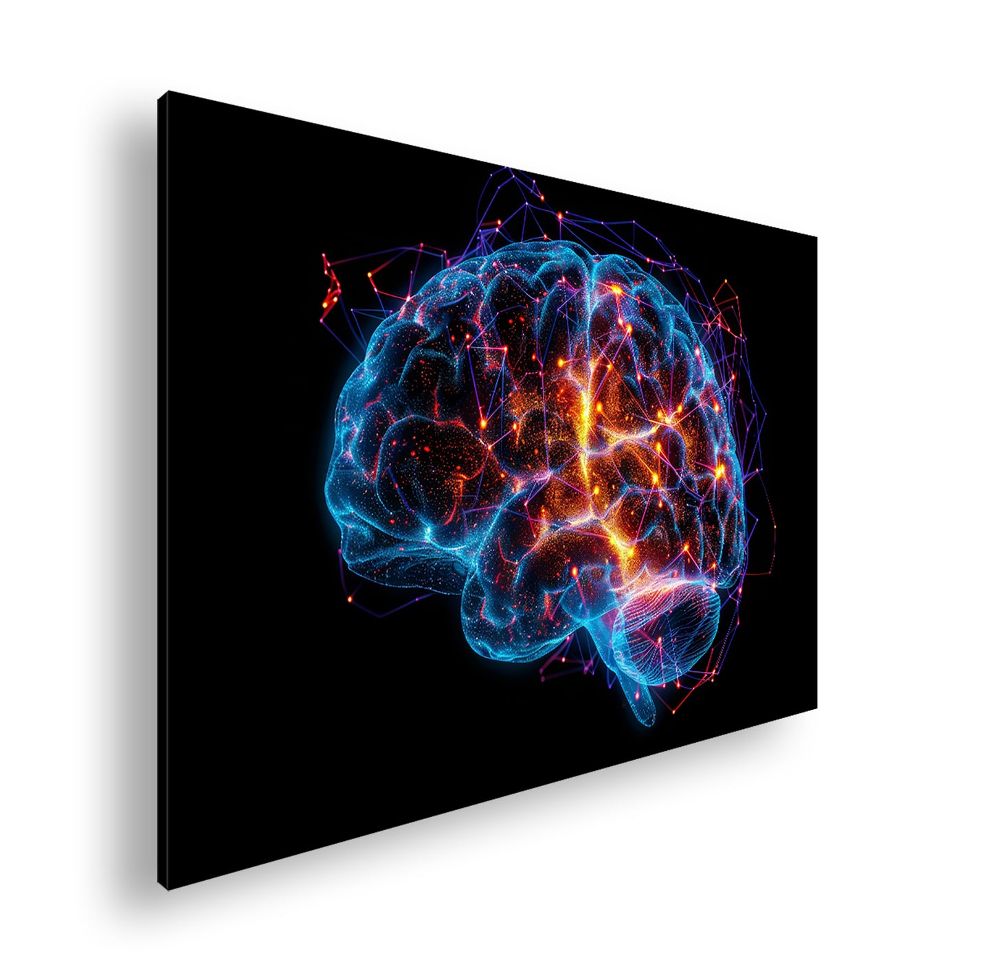 Hauptbild Farbig Standart