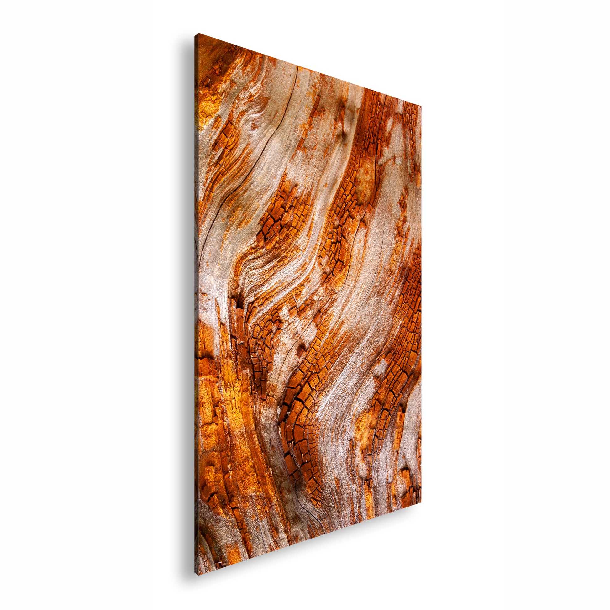 Hauptbild Farbig Standart