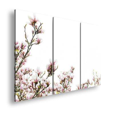 Hauptbild Farbig 3 Teilig