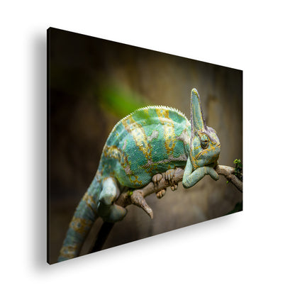 Hauptbild Farbig Standart