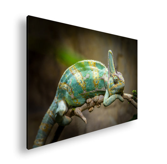 Hauptbild Farbig Standart