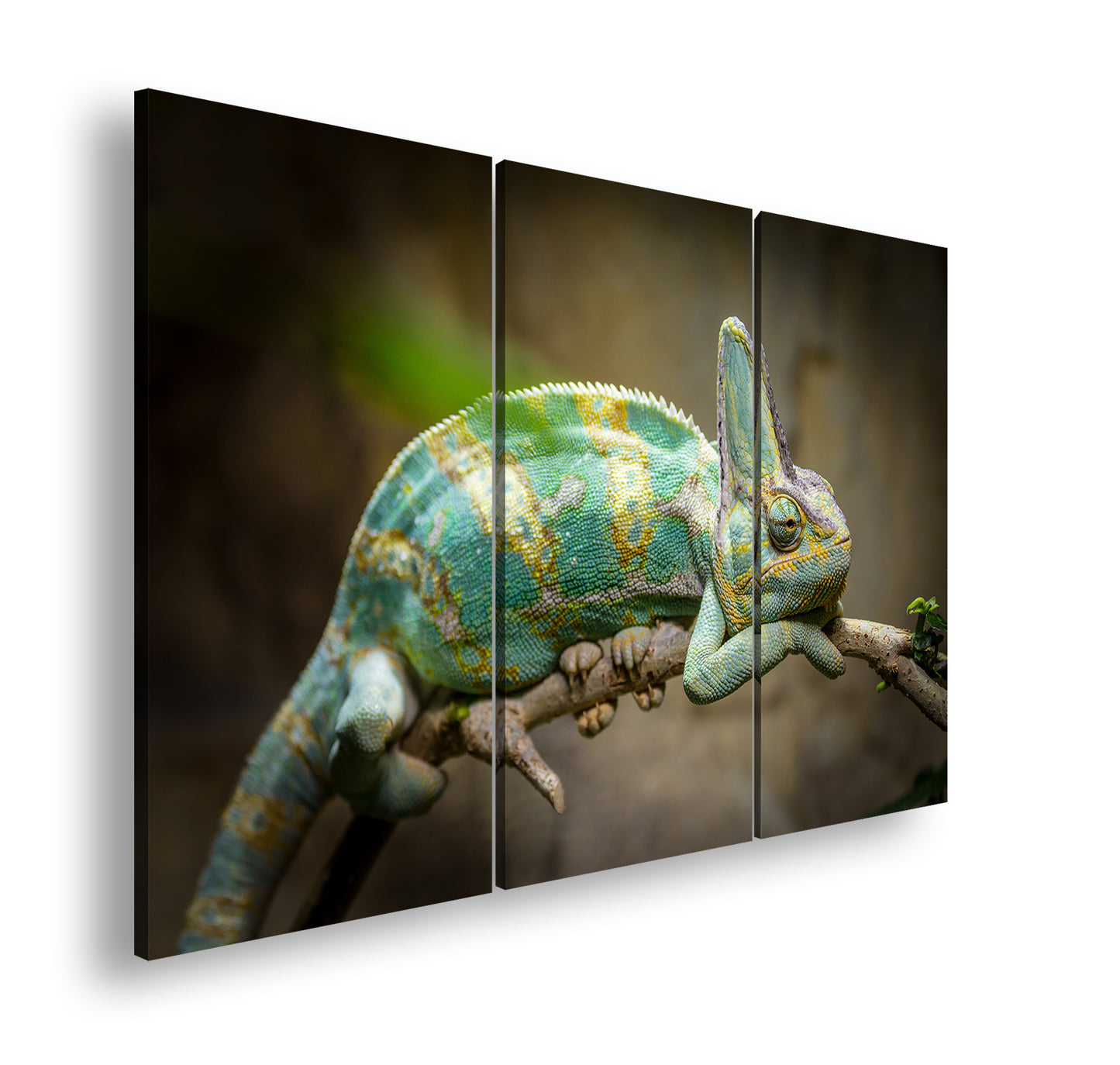 Hauptbild Farbig 3 Teilig