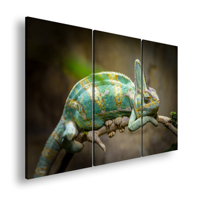 Hauptbild Farbig 3 Teilig