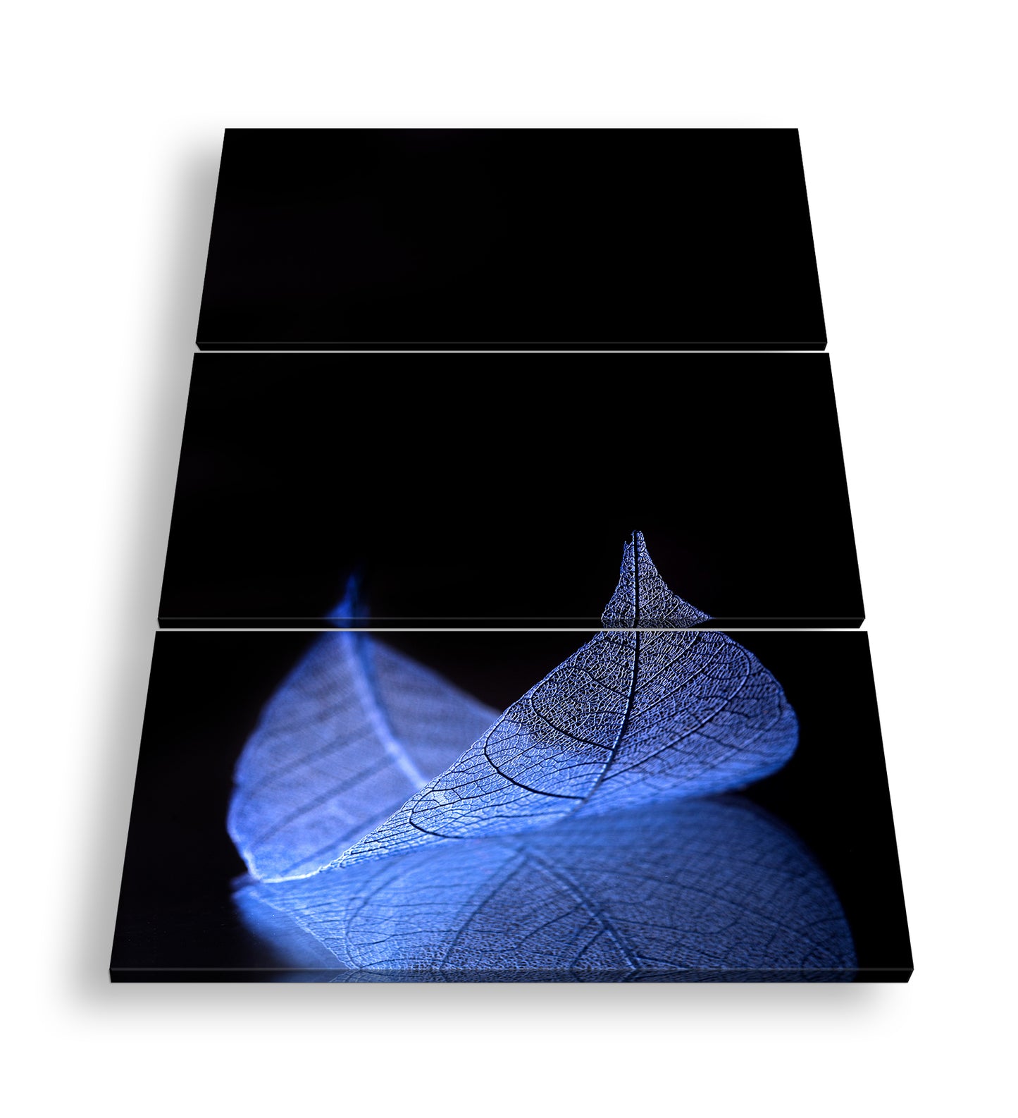 Hauptbild Farbig 3 Teilig