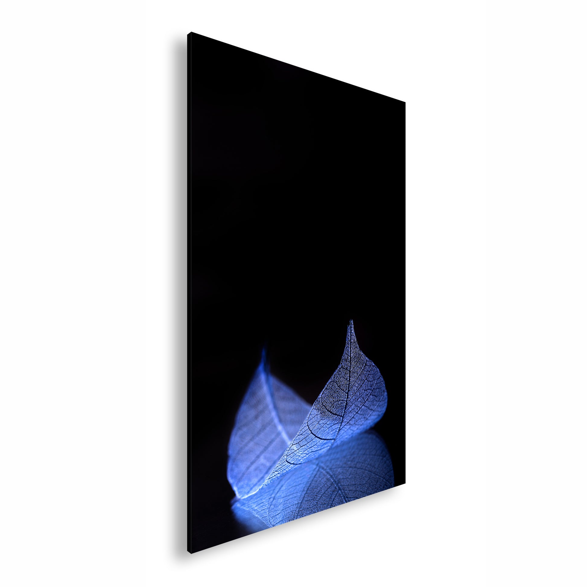 Hauptbild Farbig Standart