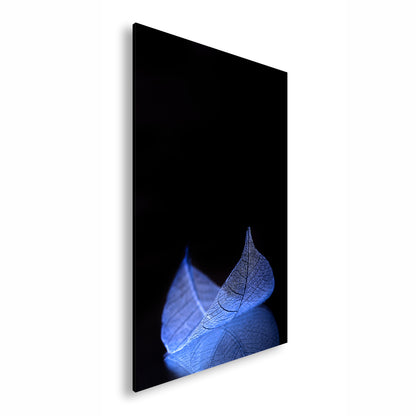 Hauptbild Farbig Standart