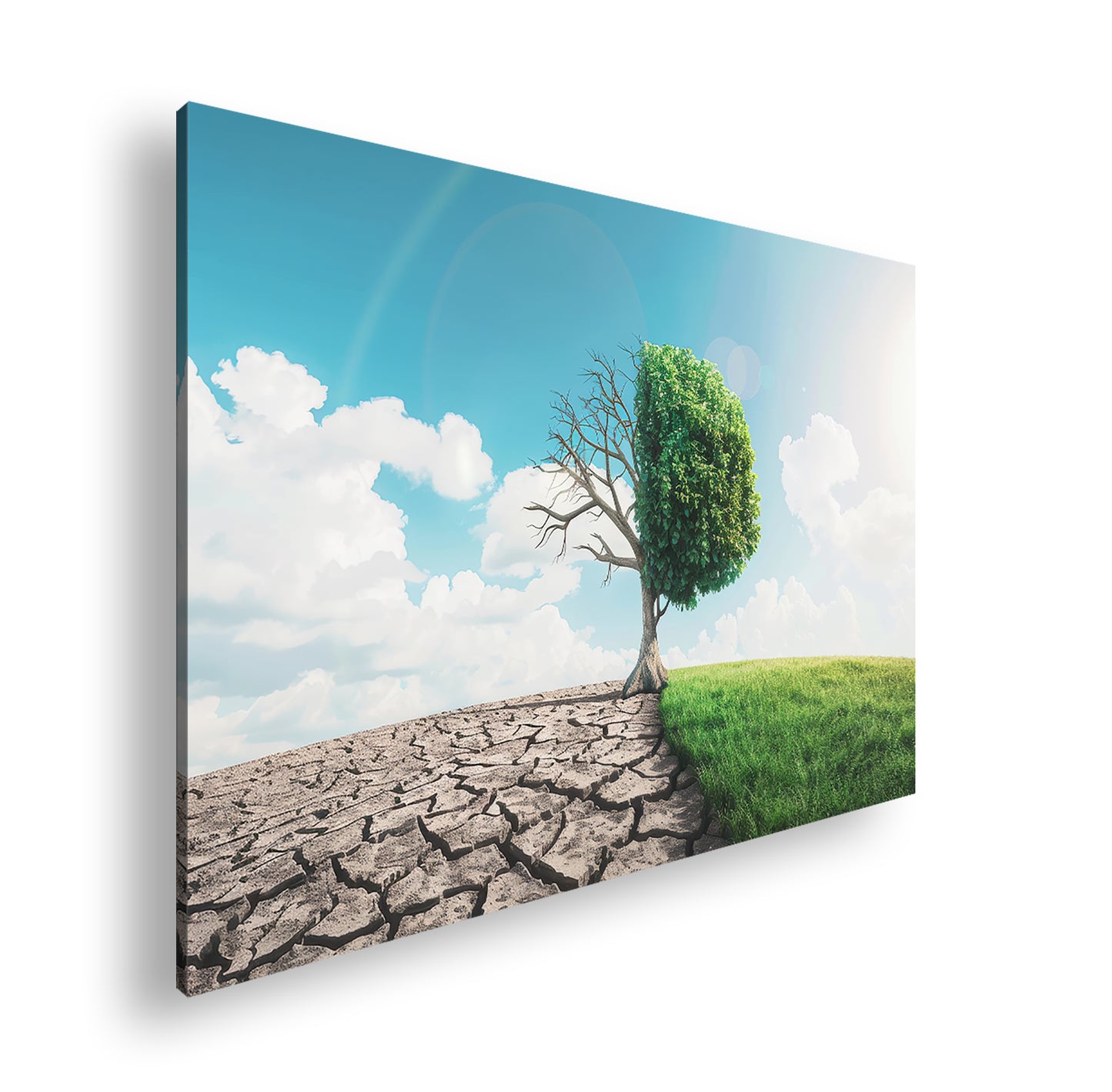 Hauptbild Farbig Standart