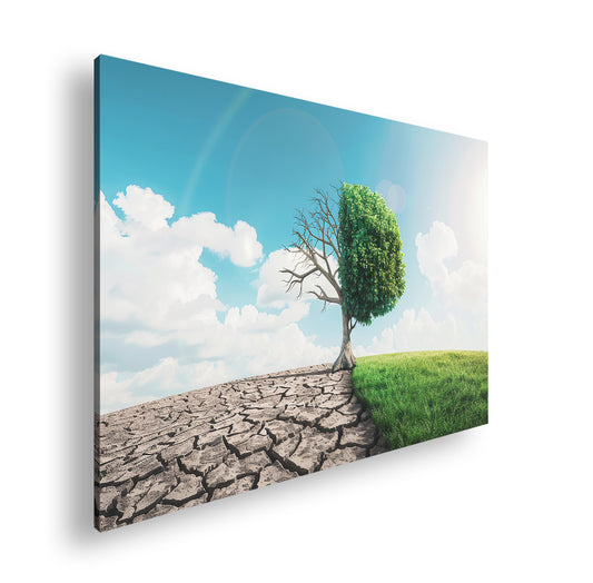 Hauptbild Farbig Standart