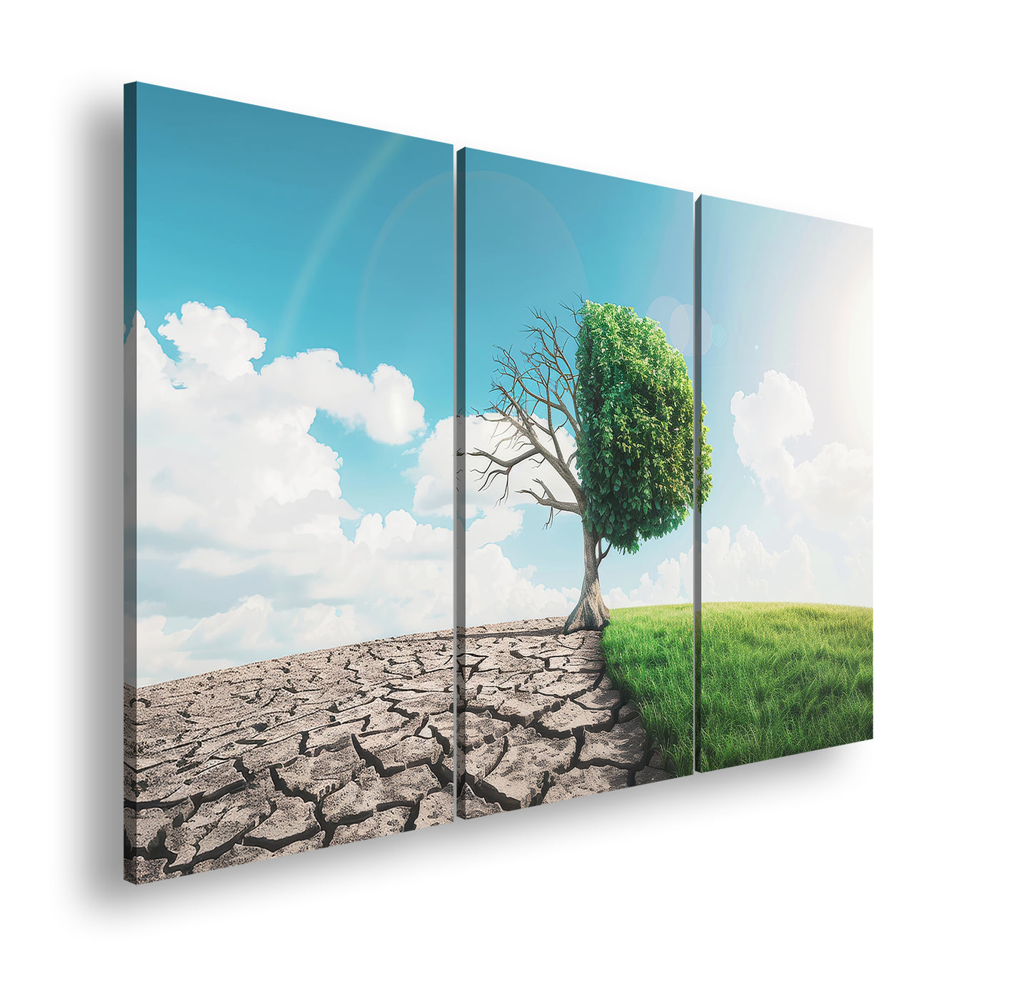 Hauptbild Farbig 3 Teilig