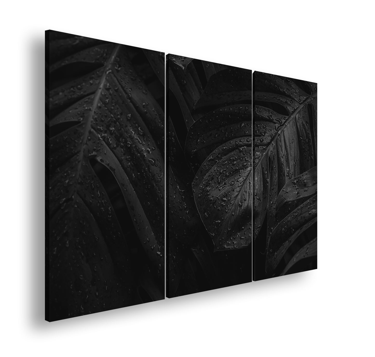 Hauptbild Farbig 3 Teilig