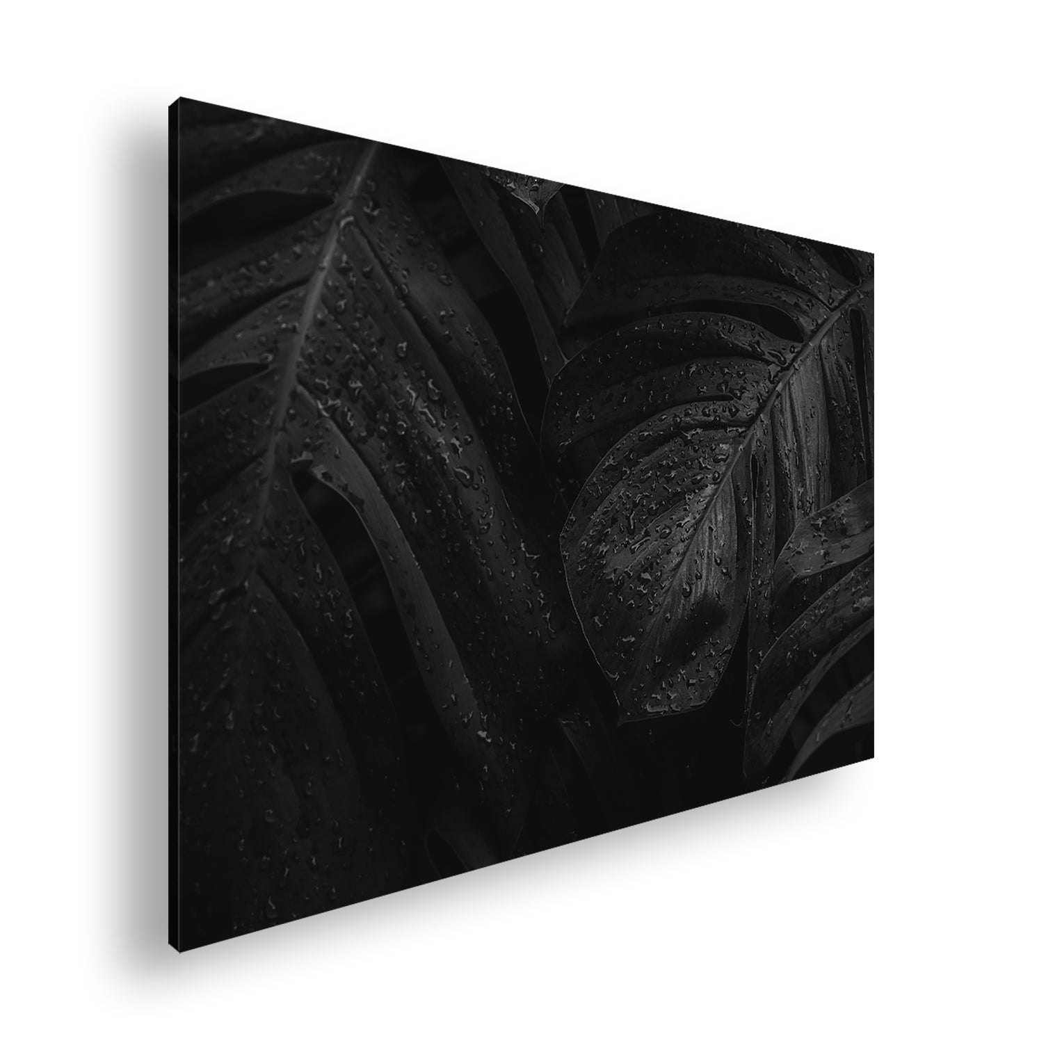 Hauptbild Farbig Standart