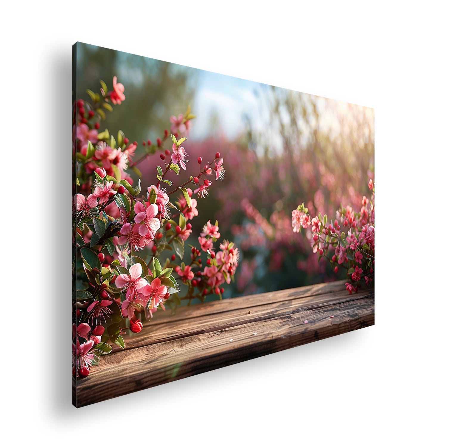 Hauptbild Farbig Standart