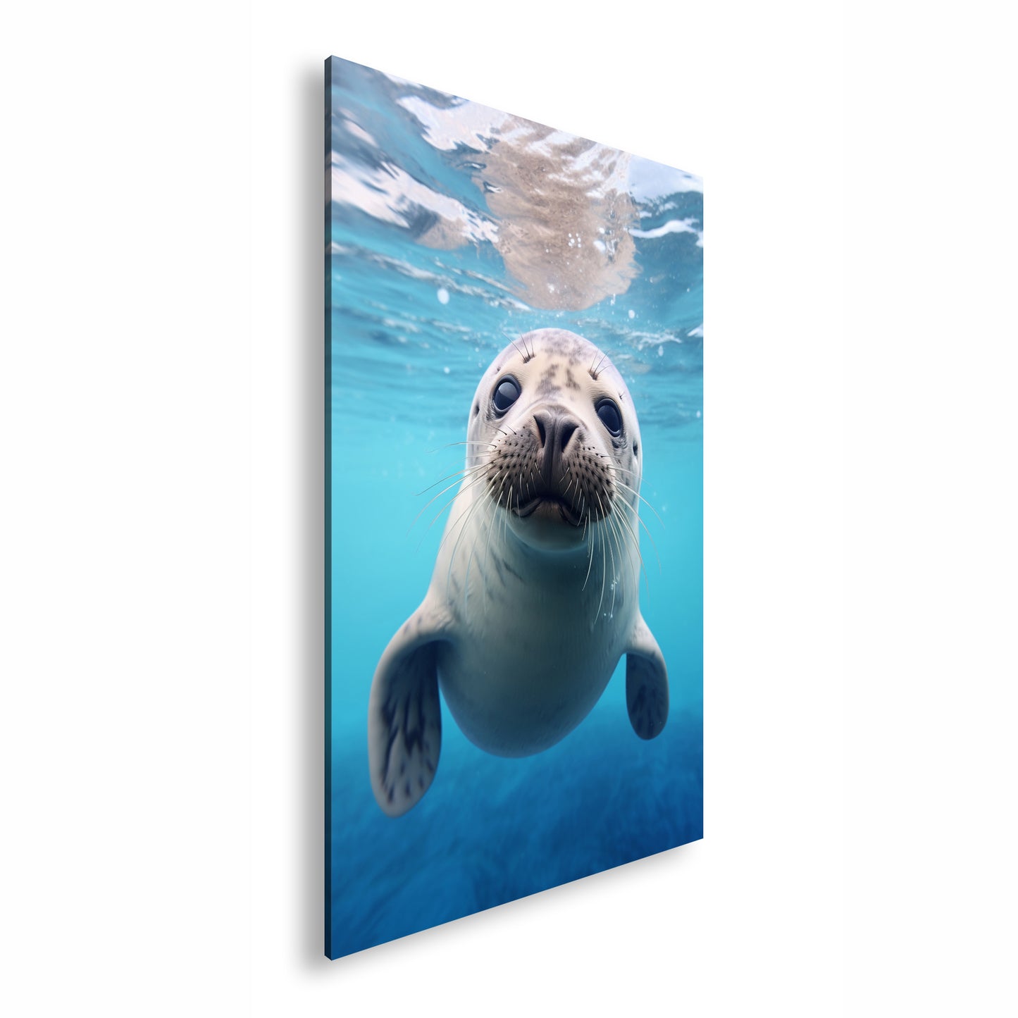 Hauptbild Farbig Standart