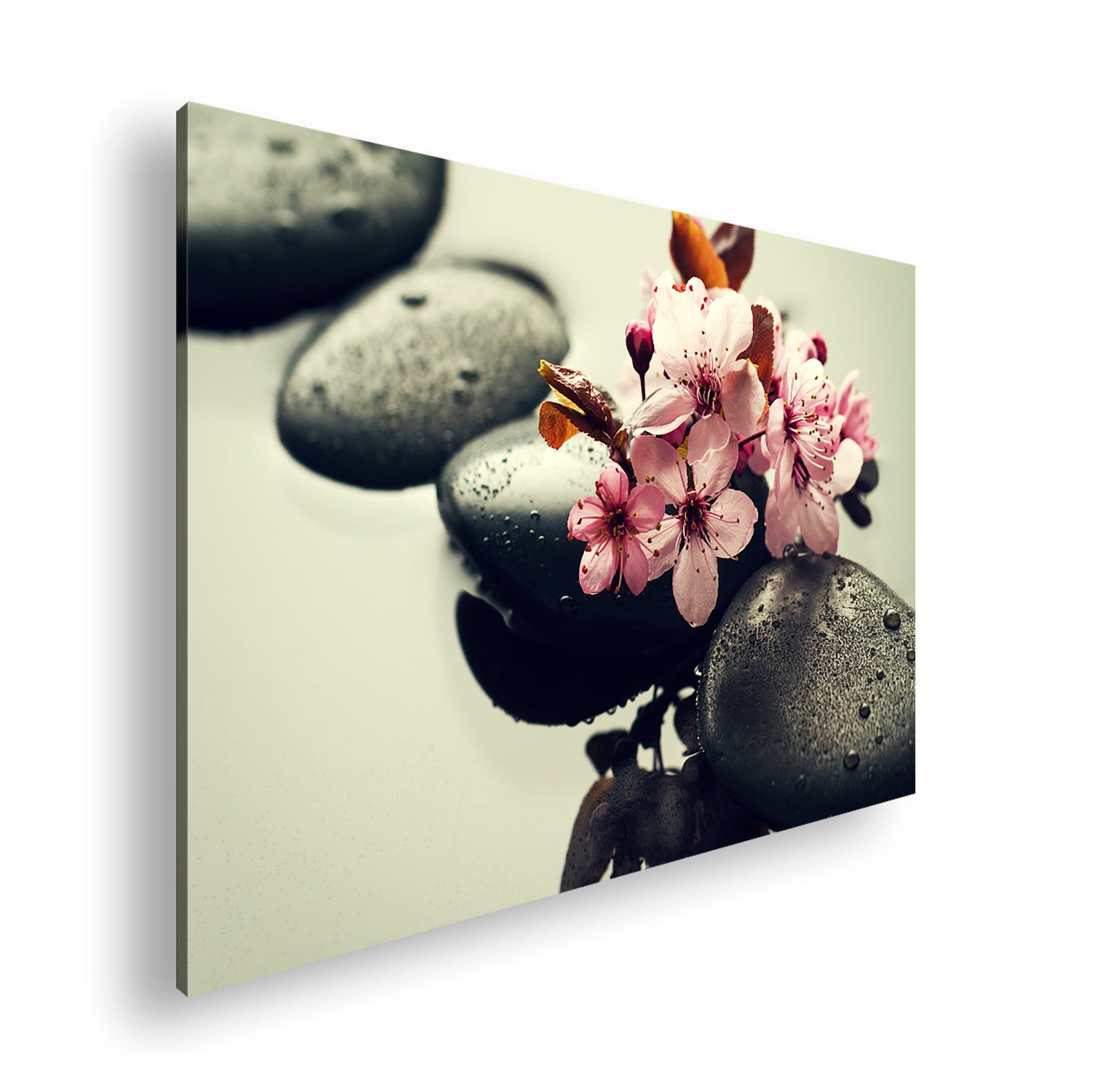 Hauptbild Farbig Standart