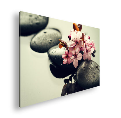 Hauptbild Farbig Standart