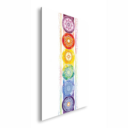 Hauptbild Farbig Standart