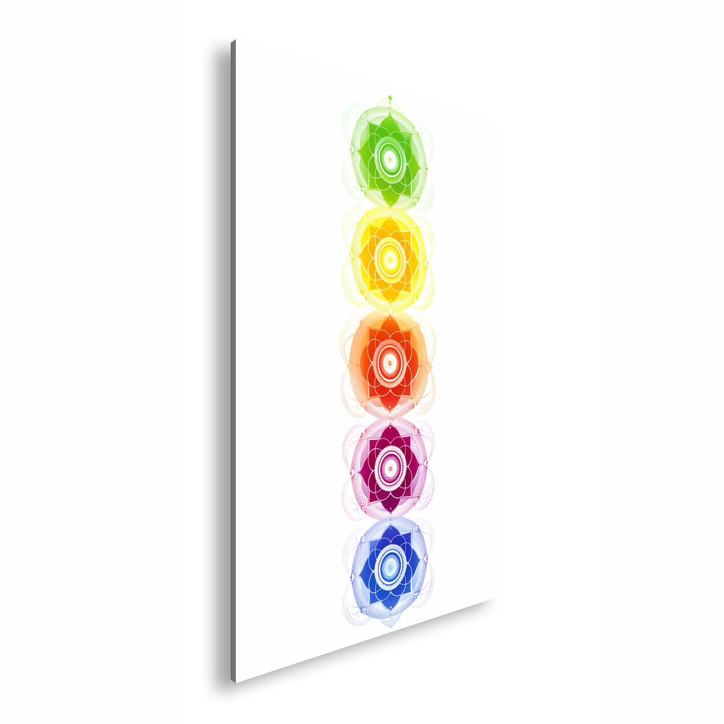 Hauptbild Farbig Standart