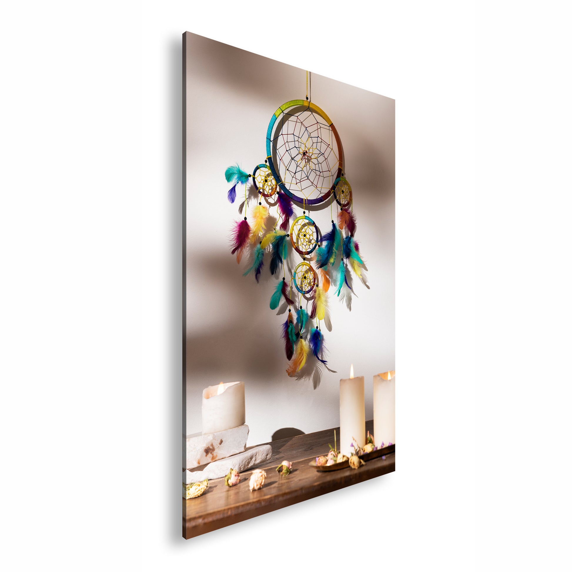 Hauptbild Farbig Standart