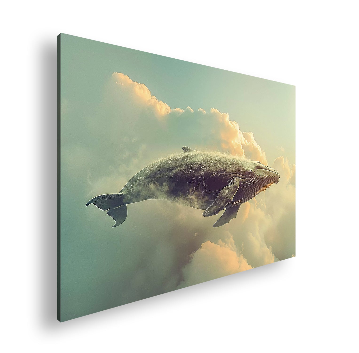 Hauptbild Farbig Standart