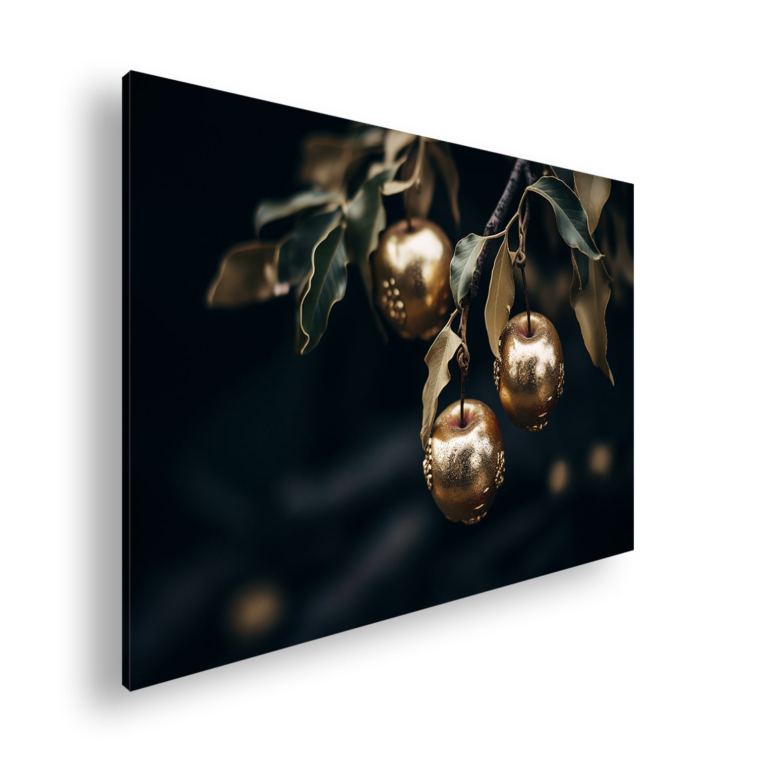 Hauptbild Farbig Standart