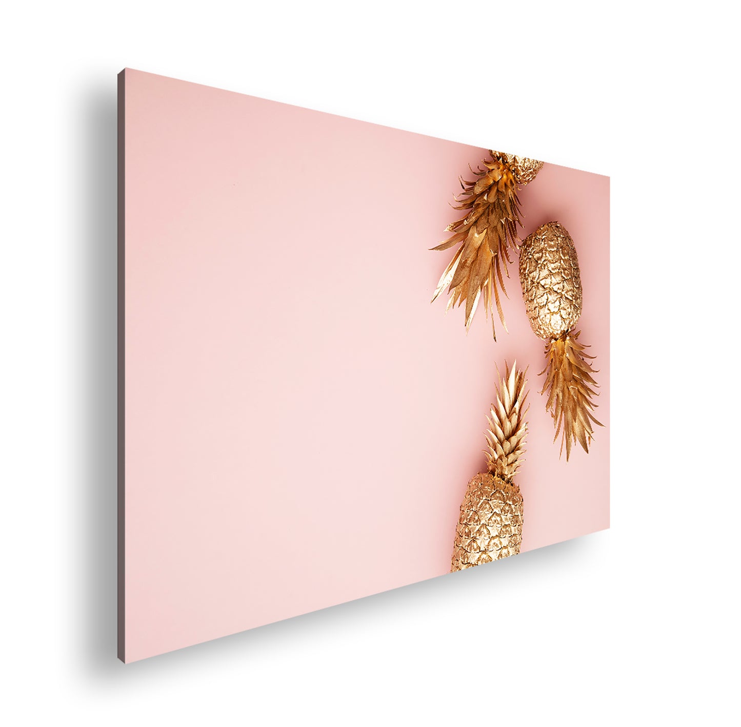 Hauptbild Farbig Standart