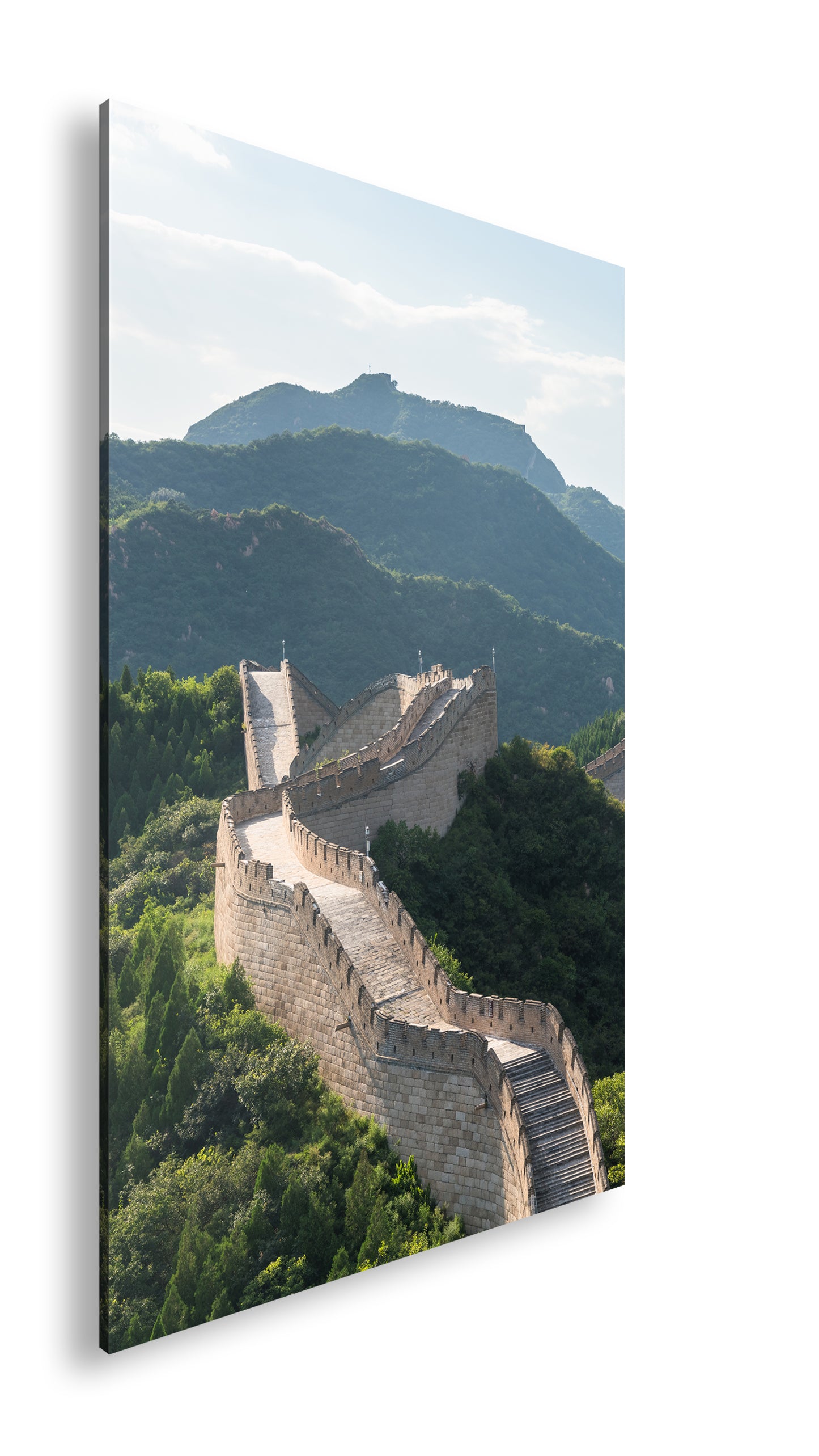 Hauptbild Farbig Standart