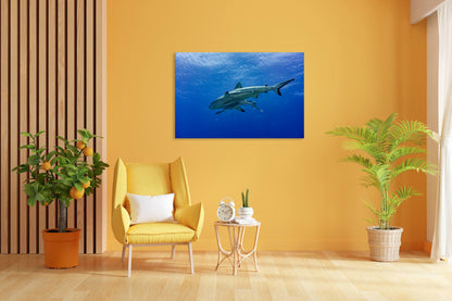 Vorschaubild Wohnzimmerbild 3