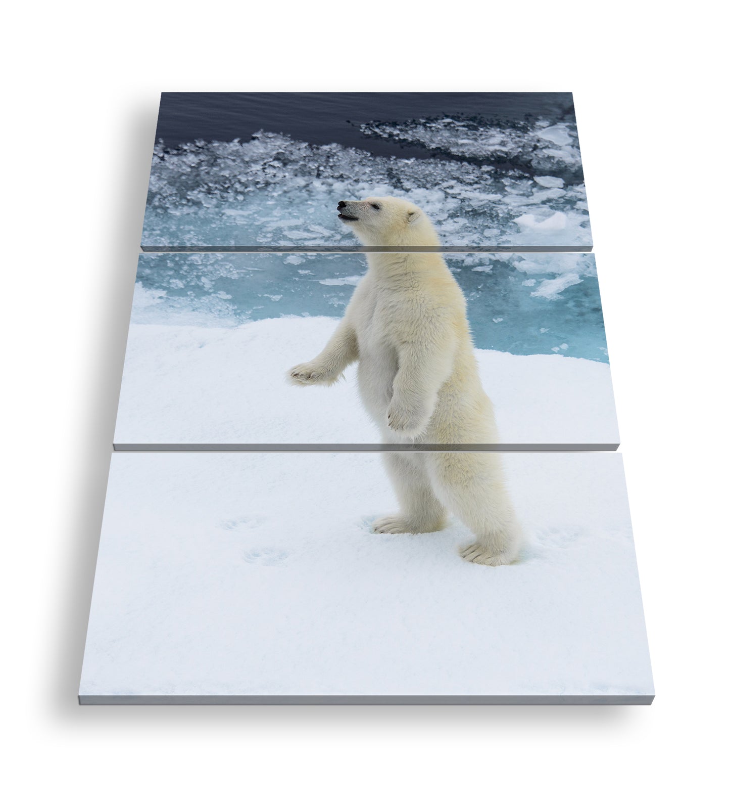 Hauptbild Farbig 3 Teilig