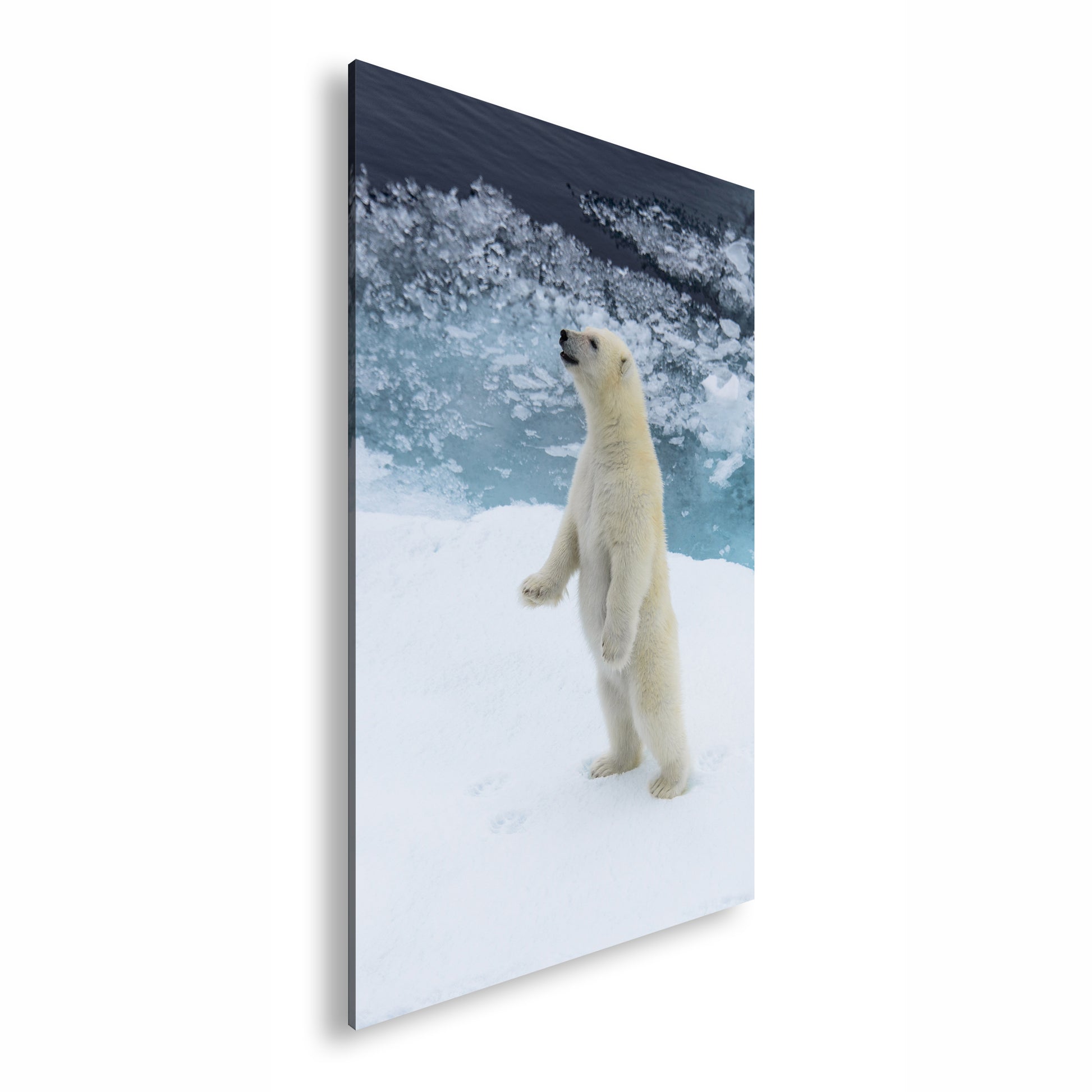 Hauptbild Farbig Standart