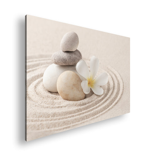 Hauptbild Farbig Standart