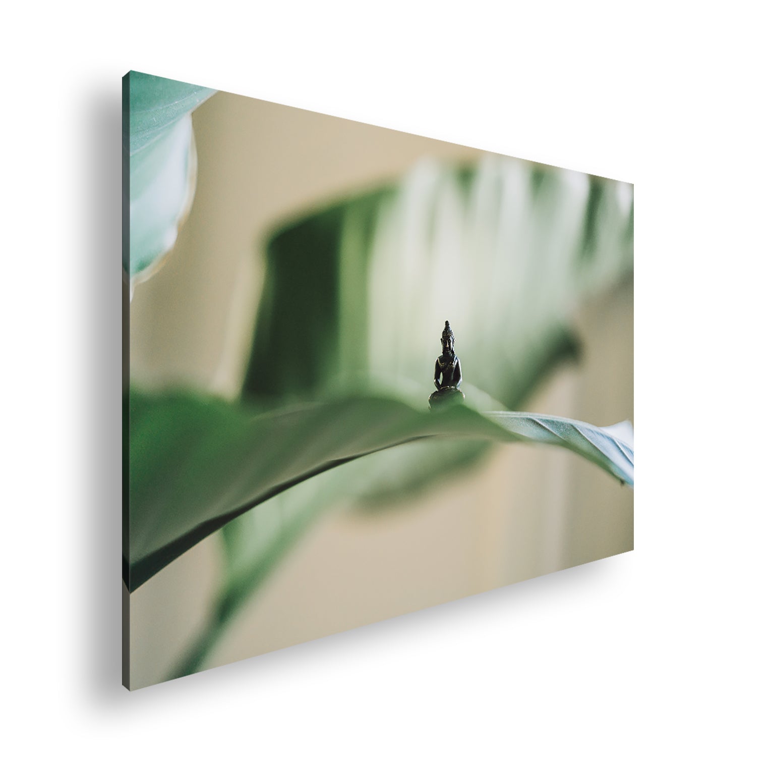 Hauptbild Farbig Standart