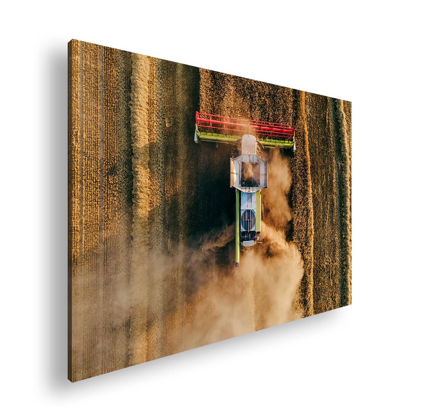 Hauptbild Farbig Standart