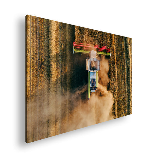 Hauptbild Farbig Standart