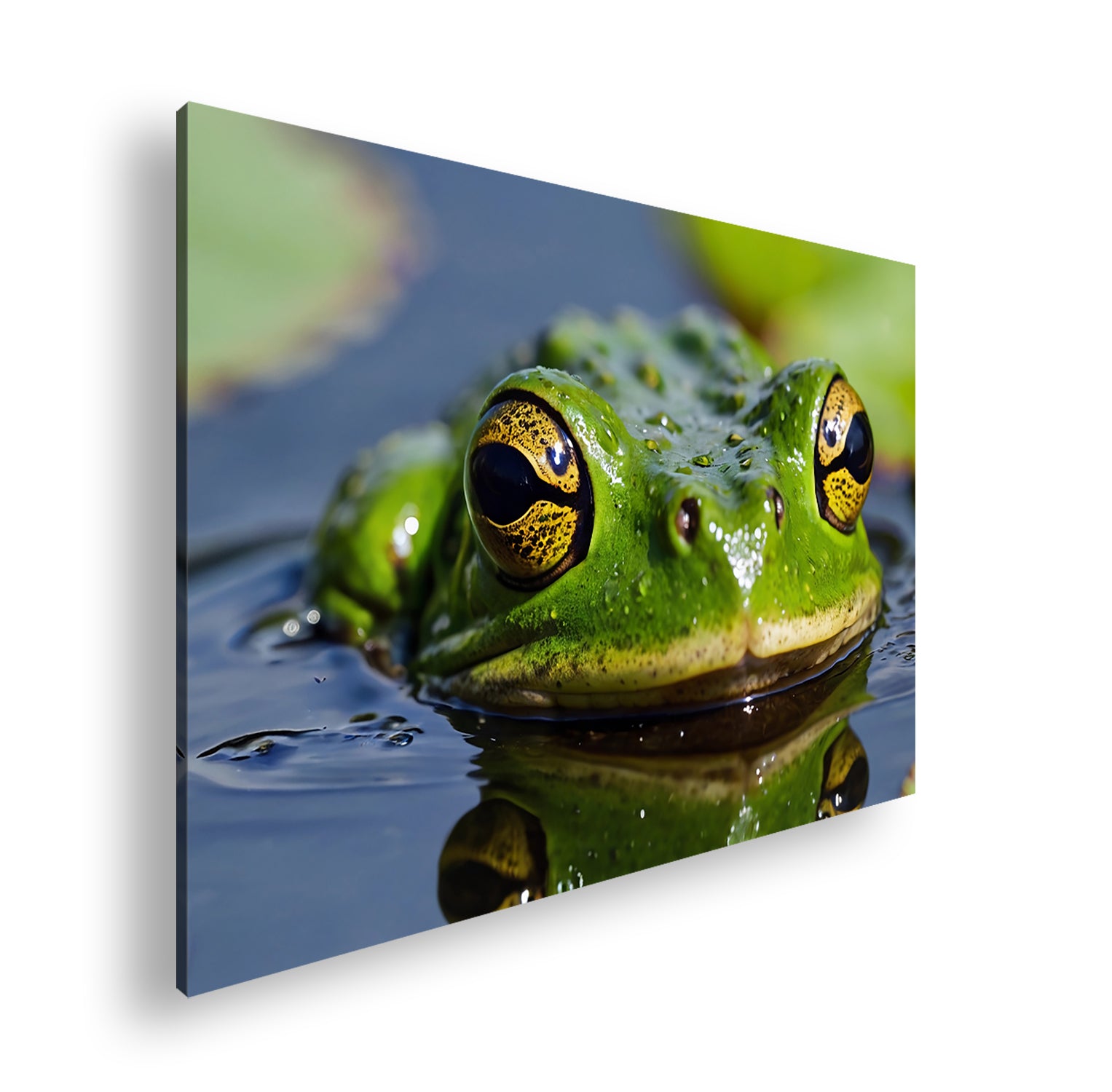 Hauptbild Farbig Standart