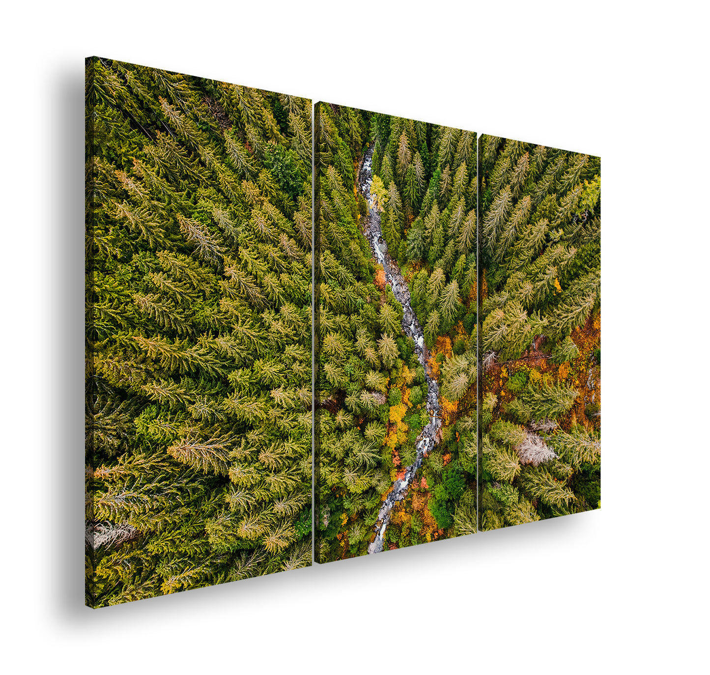 Hauptbild Farbig 3 Teilig