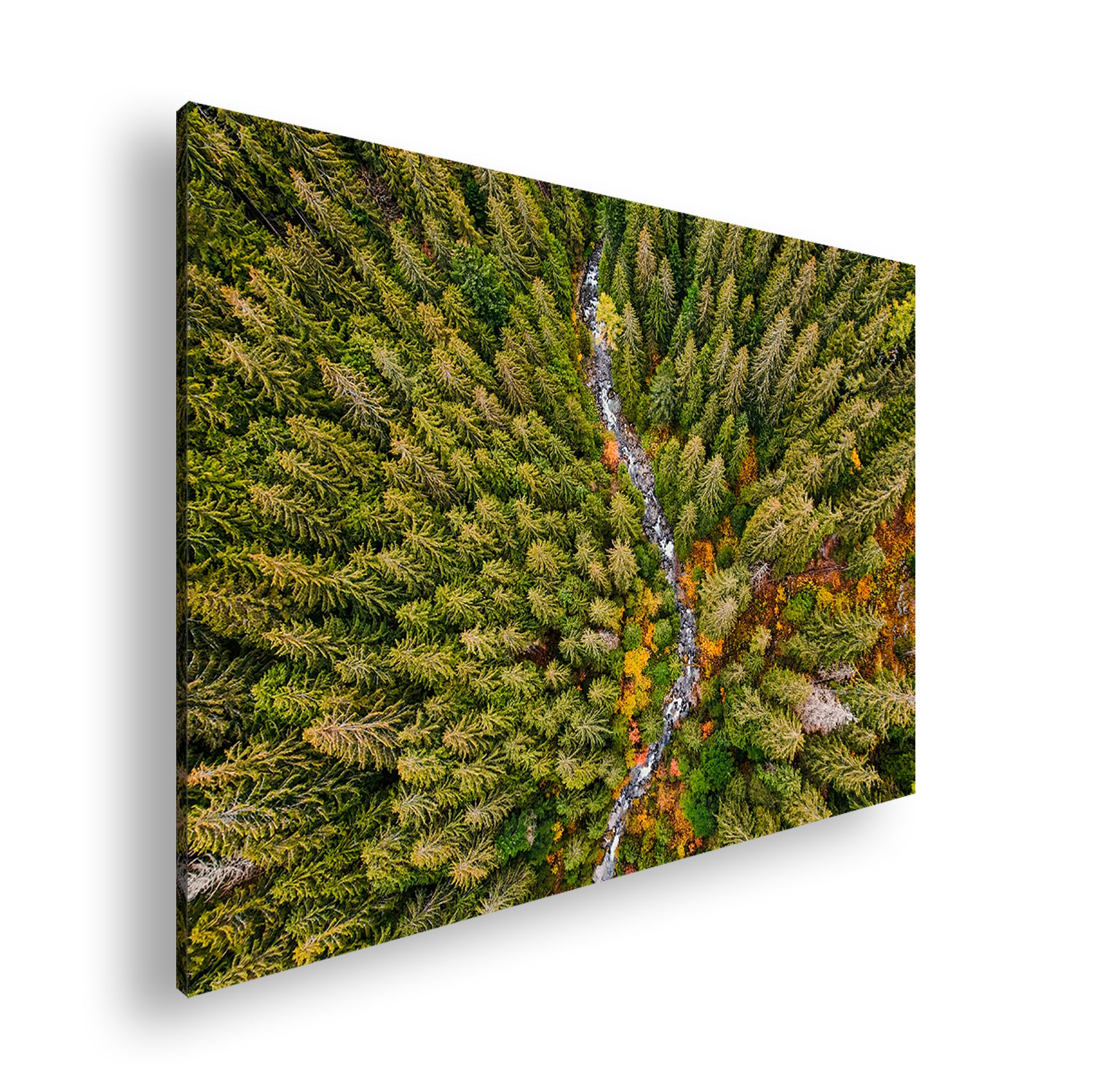 Hauptbild Farbig Standart