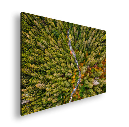 Hauptbild Farbig Standart