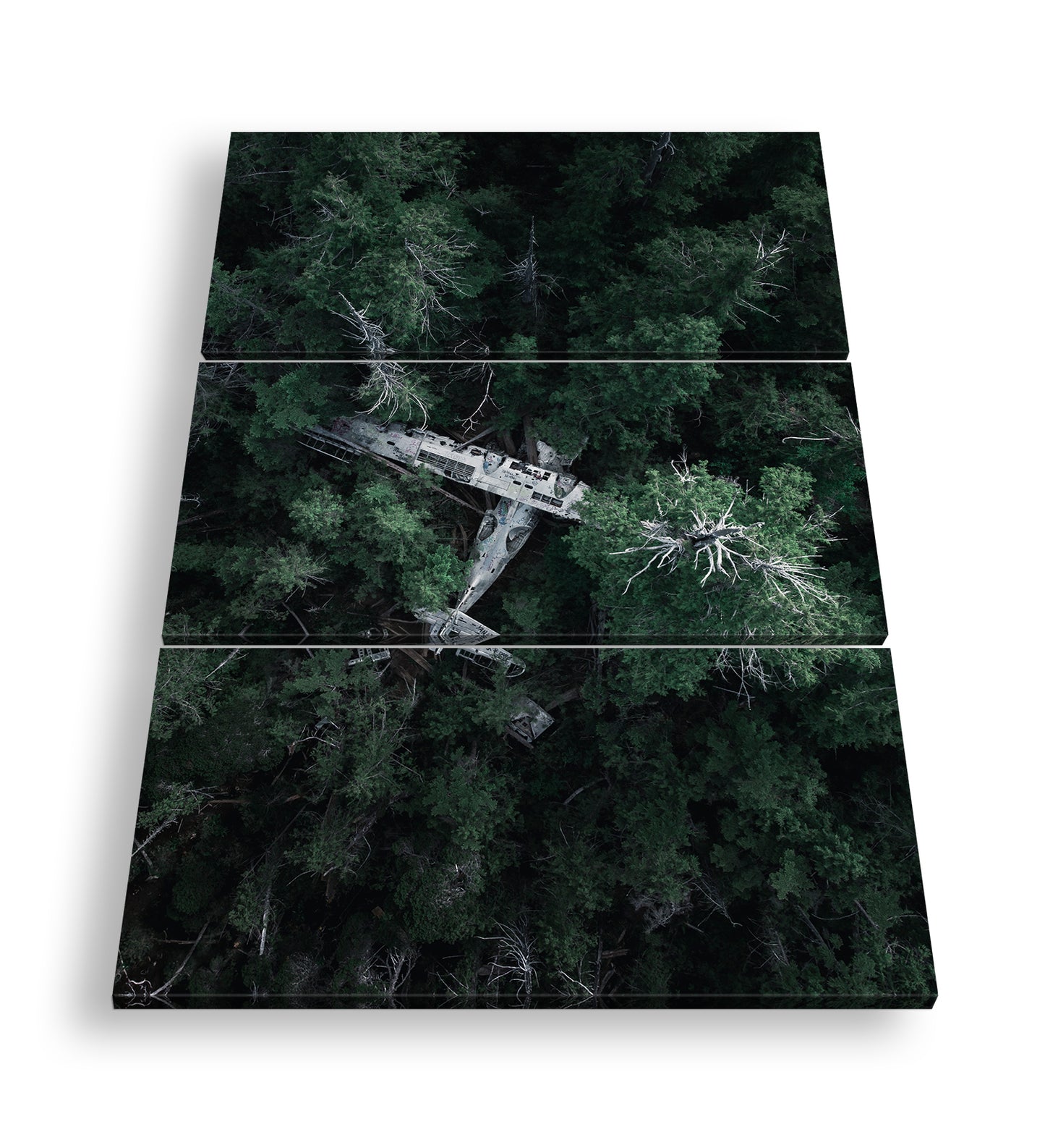 Hauptbild Farbig 3 Teilig