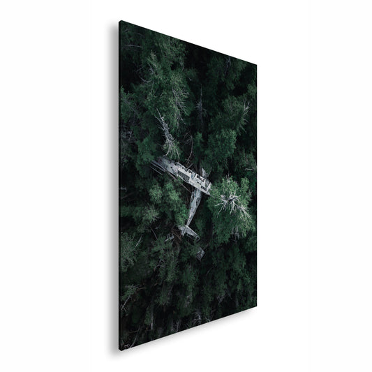 Hauptbild Farbig Standart