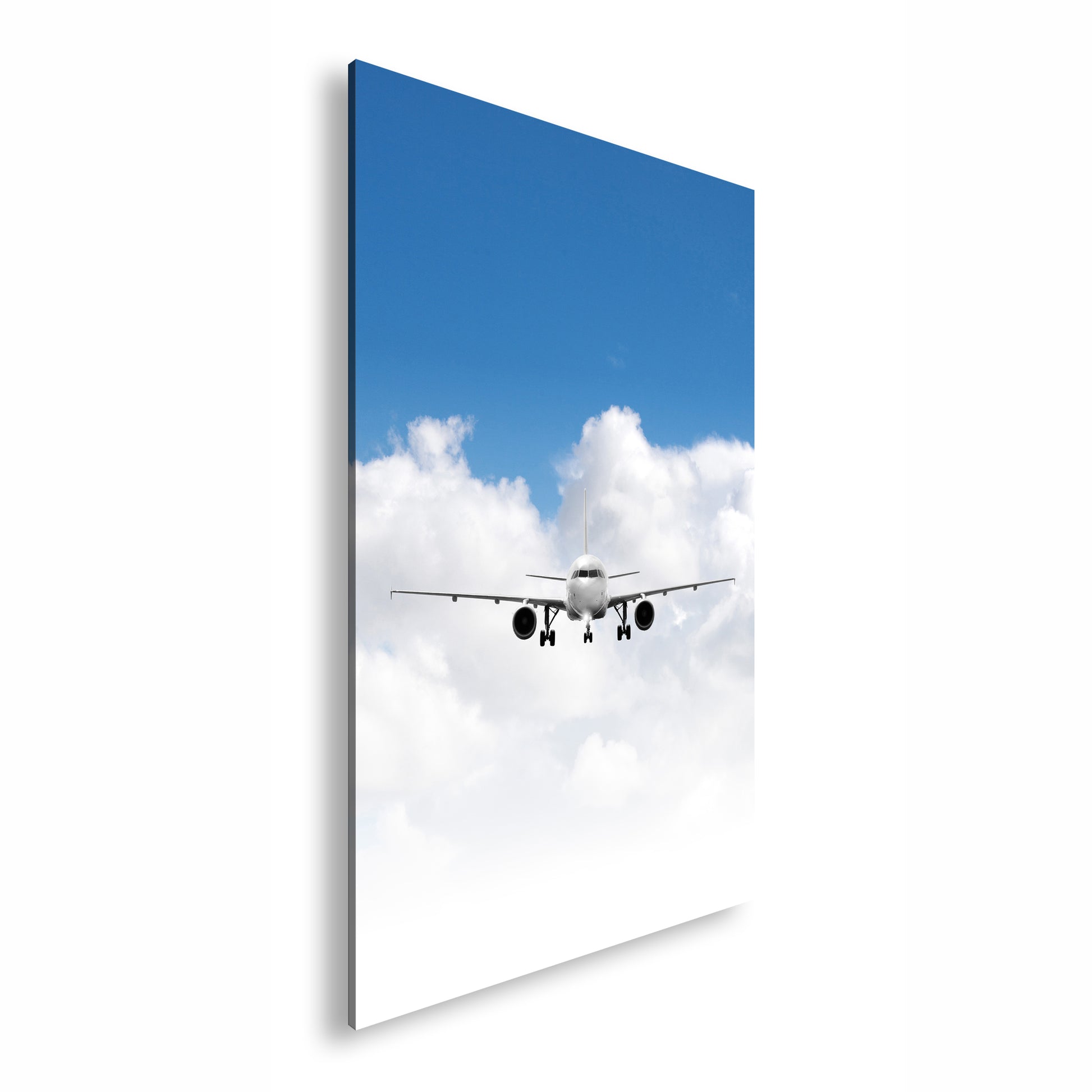 Hauptbild Farbig Standart