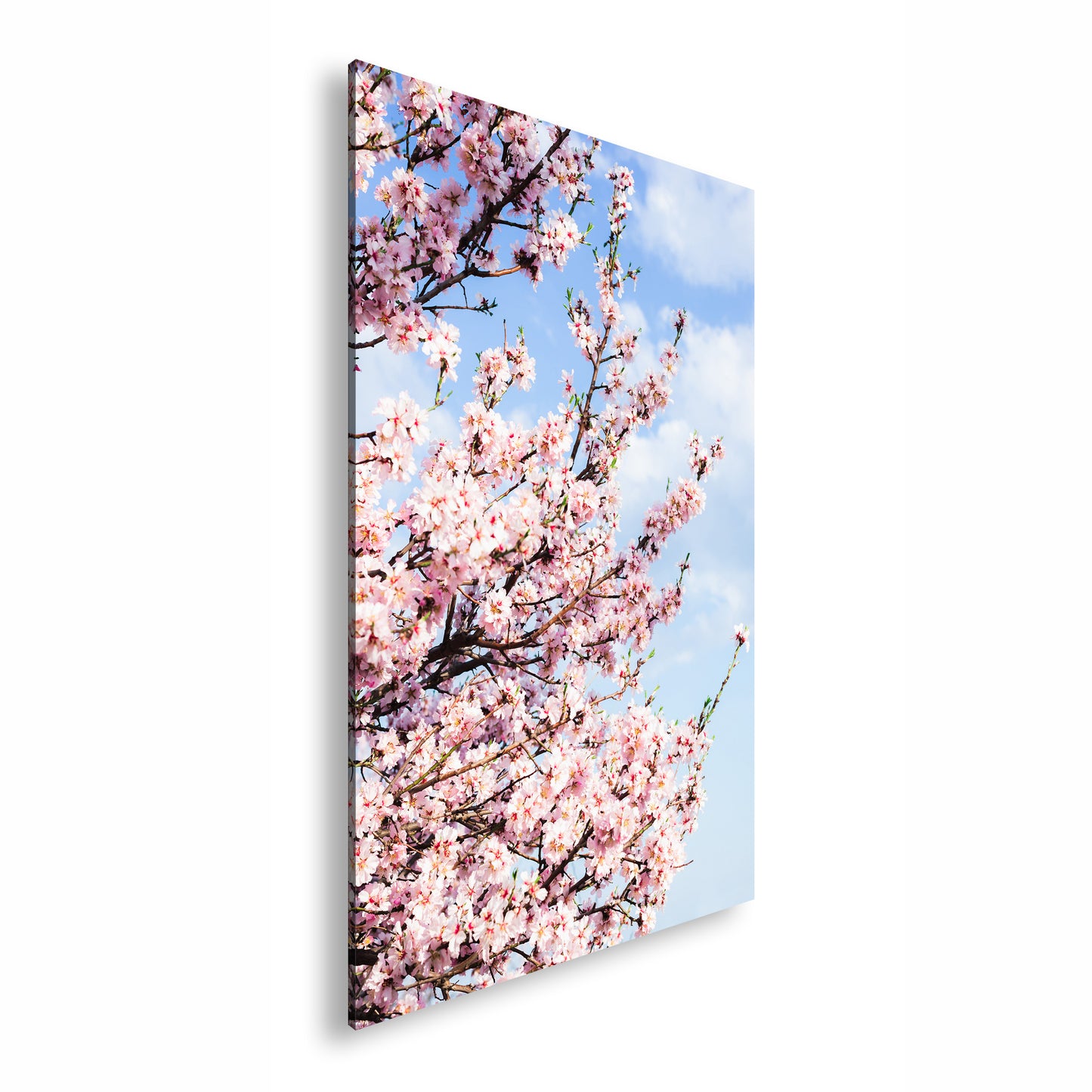 Hauptbild Farbig Standart